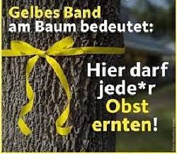 Gelbes Band - Hier darf jede*r Obst ernten!