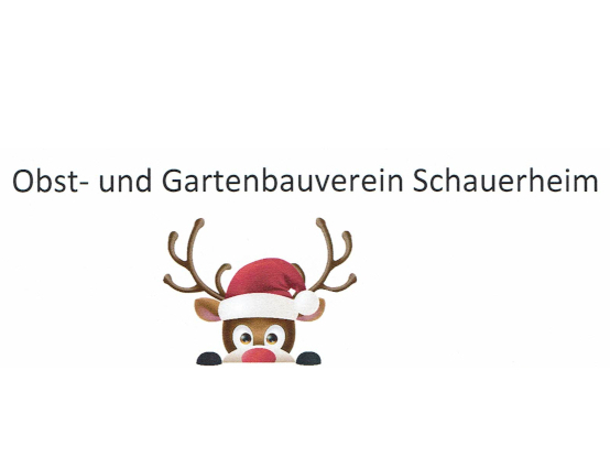 Read more about the article Weihnachtsfeier Gartenbauverein