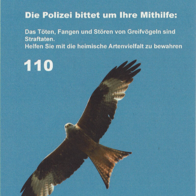 Mehr über den Artikel erfahren Vergiftet Greifvögel: Polizei bittet um Ihre Mithilfe