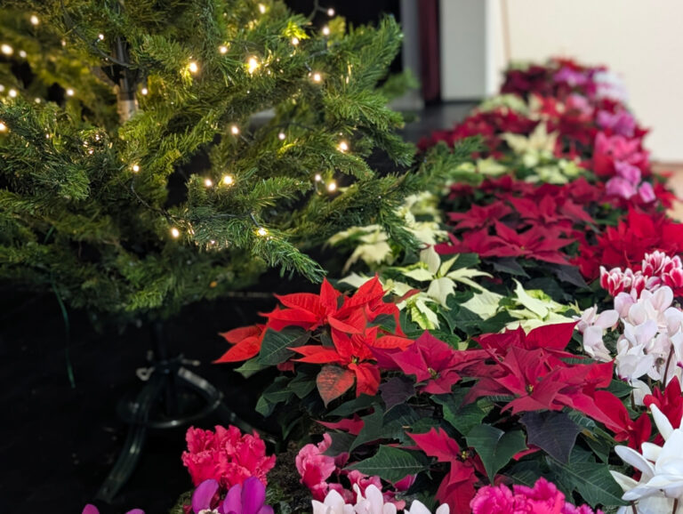 Mehr über den Artikel erfahren Ein Weihnachtsnachmittag, der Jung und Alt verzauberte