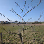 Schnittkurs GBV 2026 - Resultat